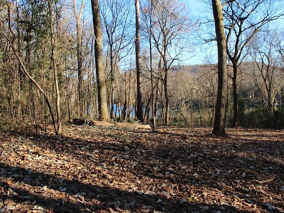 5th image of County Road 1091