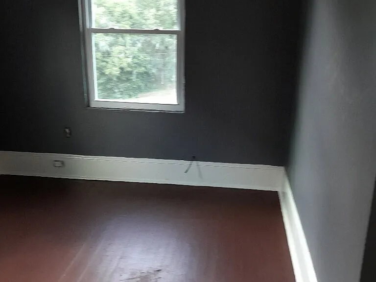 505 Chiquola Apts #11 — Photo 3