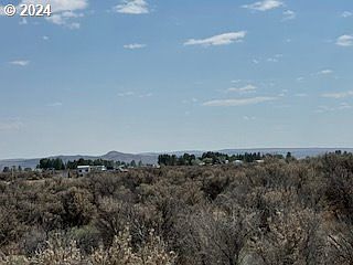 2nd image of Hill Ln