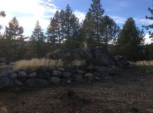 Bridge St, Verdi, NV 89439