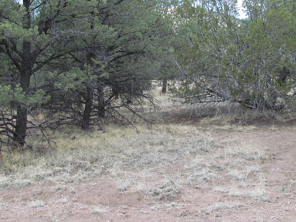 2nd image of 95 Pioneer Drive