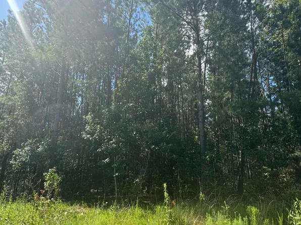 0 Dubberly Rd, Baxley, GA 31513