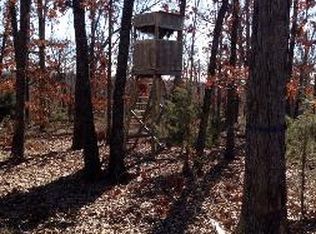 6754 Oak Ridge Rd, Ravenden Springs, AR 72460