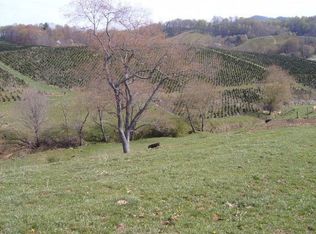 1360 Grassy Creek Rd, Mouth Of Wilson, VA 24363