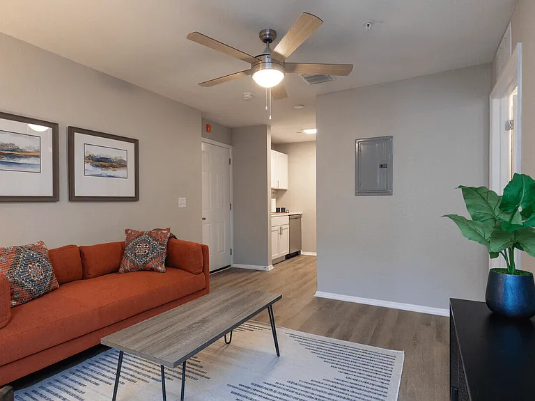 Reserve at Temple Terrace — Photo 18
