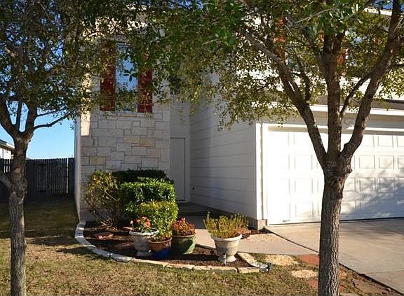 Front yard with newly planted zoysia grass.