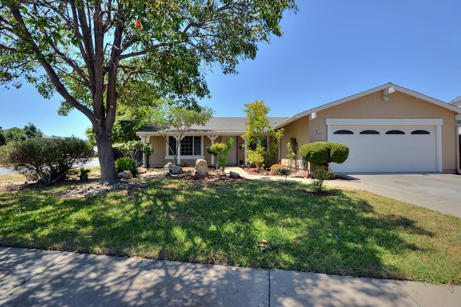 37652 Starflower St photo 1
