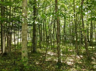 5945 Lodgepole Rd, Harbor Springs, MI 49740