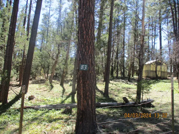 83 N Tonto Rim Loop, Payson, AZ 85541