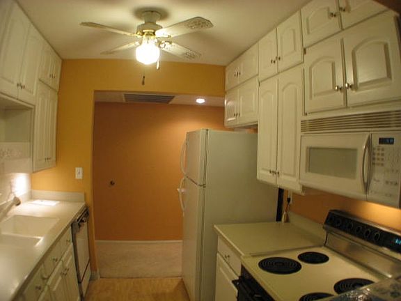 3rd image of 2929 Sunnyside Dr APT C248