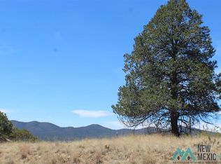 N Swan St, Silver City, NM 88061