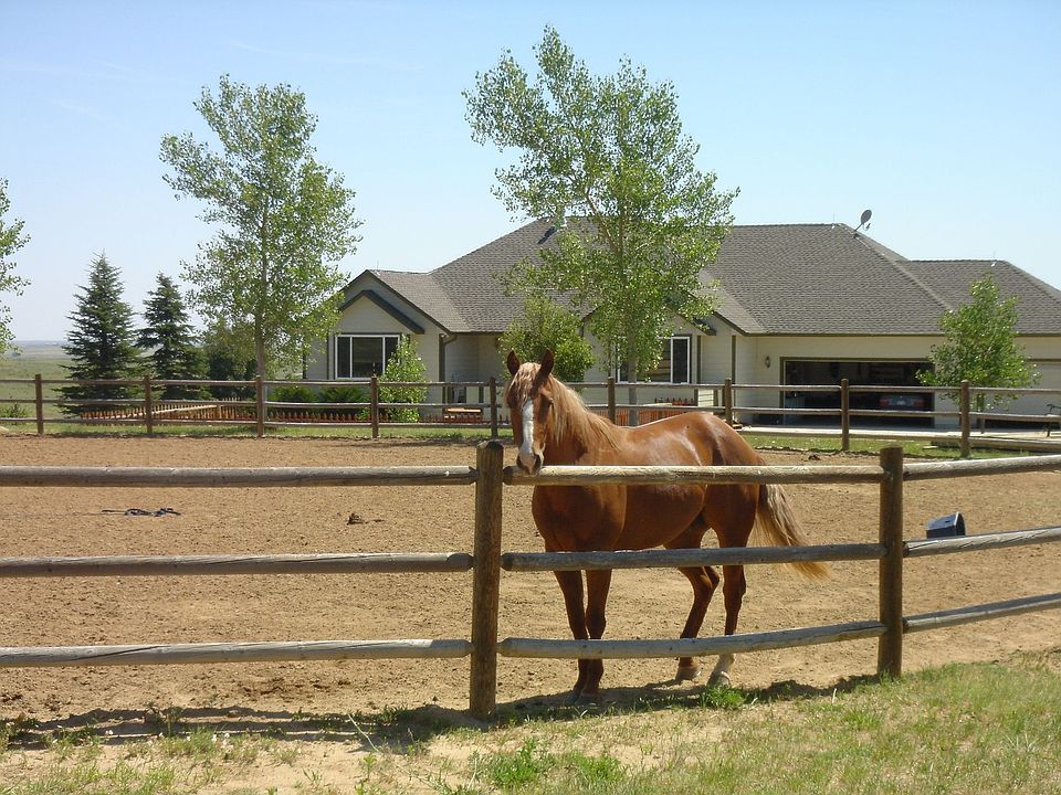 Front view.