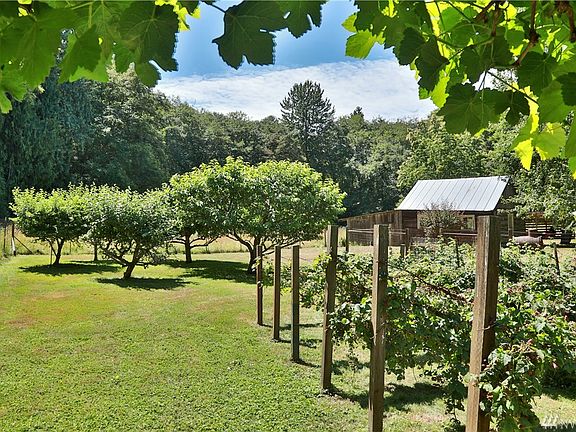 Fully fenced mature orchard & berry patches (Logan, Marian, Raspberries!) and an area for vegetable gardening too!