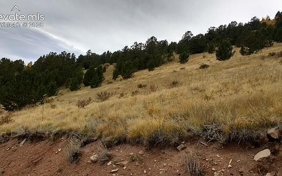 3rd image of Highway 67