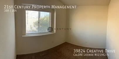 39824 Creative Dr — Photo 20