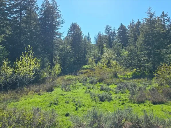 113 Ellemeham Mtn, Oroville, WA 98844