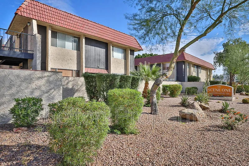 1 bed, 1.0 bath, 595 sqft, $1,250 — Photo 2