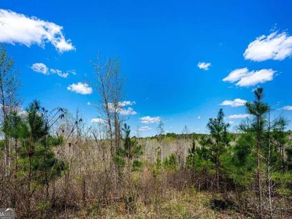 0 Jeff Davis Rd, Franklin, GA 30217