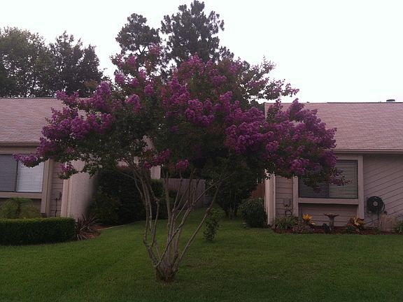 2nd image of 3437 Donzi Way E