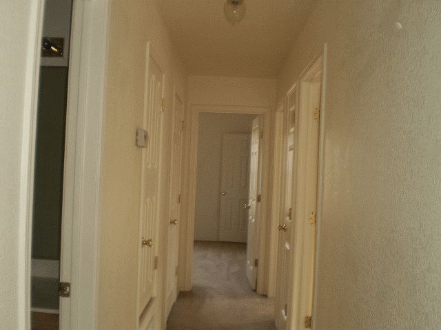 2nd image of 4302 Alleeta Dr Unit B