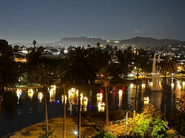 Swan Boats at night