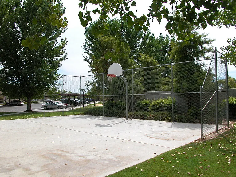 Basketball Court