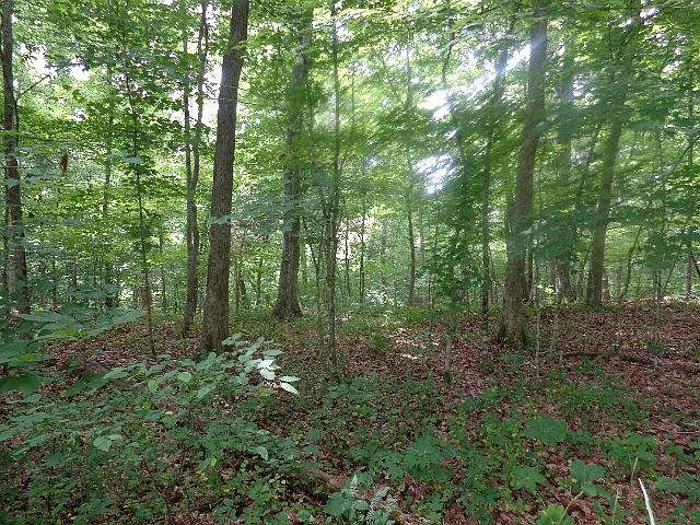 1st image of 1054 Vintage Pl Lot 41