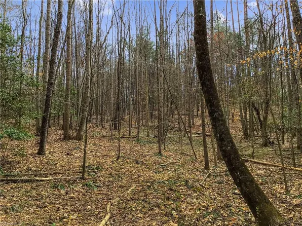 0 Evans Rd, Jonesville, NC 28642