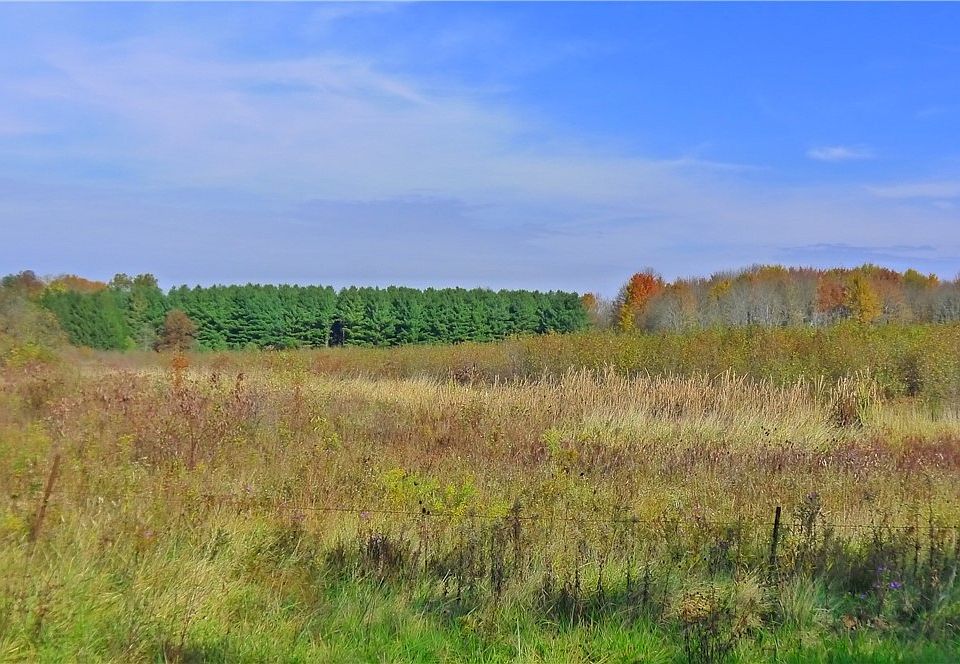 2nd image of Haskins Rd