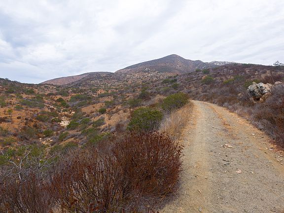 4th image of Hwy 94 Apn 649-040-11-00