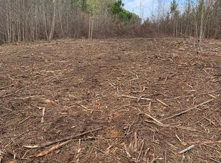 0 Gum Creek Cir, Roopville, GA 30170