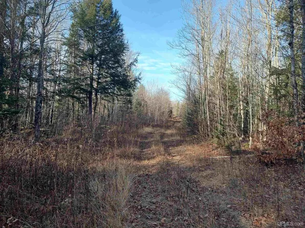 Billie Helmer Rd, Deerton, MI 49822