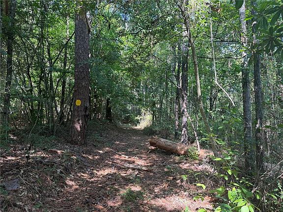 3rd image of Crooked Creek Rd