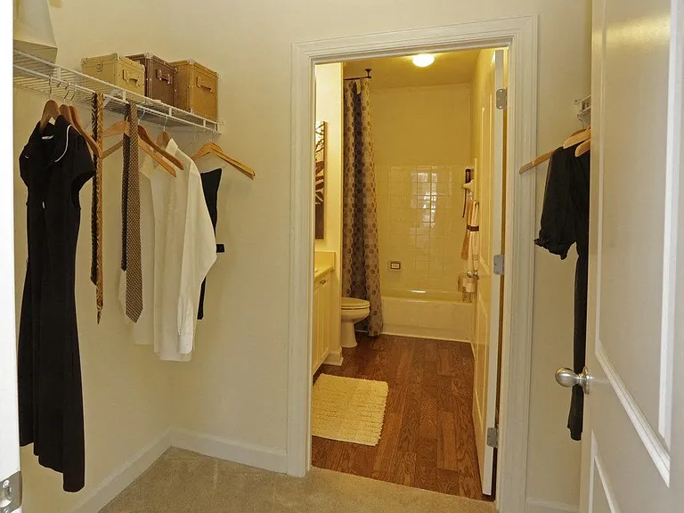 Large luxury closets