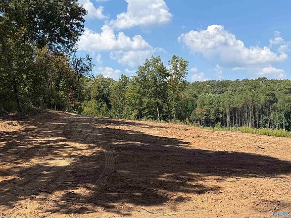 3rd image of Bishop Mountain Rd