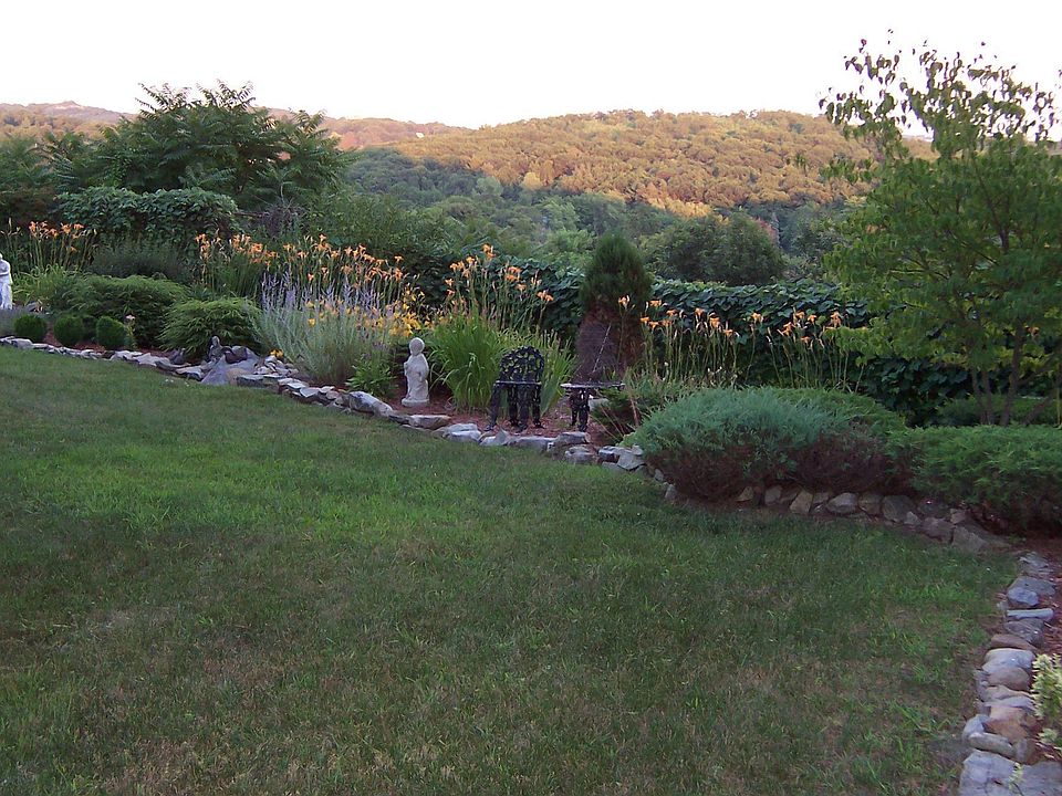 part of backyard