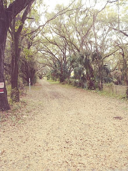 Driveway - 500' long