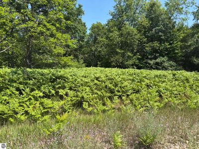 Vl S Riverview LOT 15, Lake City, MI, 49651