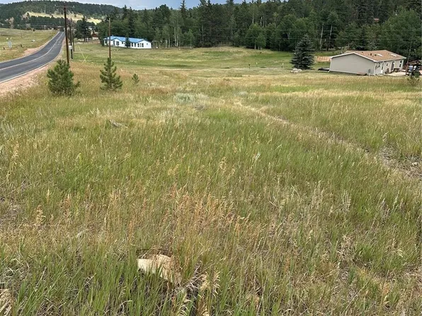 17 and 33 Deer Ridge Trail, Florissant, CO 80816