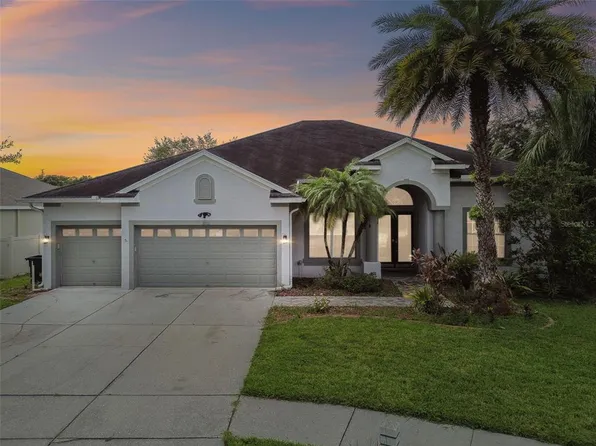 3205 Hanging Vine Ct, Land O Lakes, FL 34639