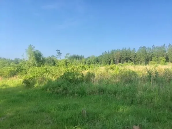 5040 Turnerville Farms Ct S, Chunchula, AL 36521