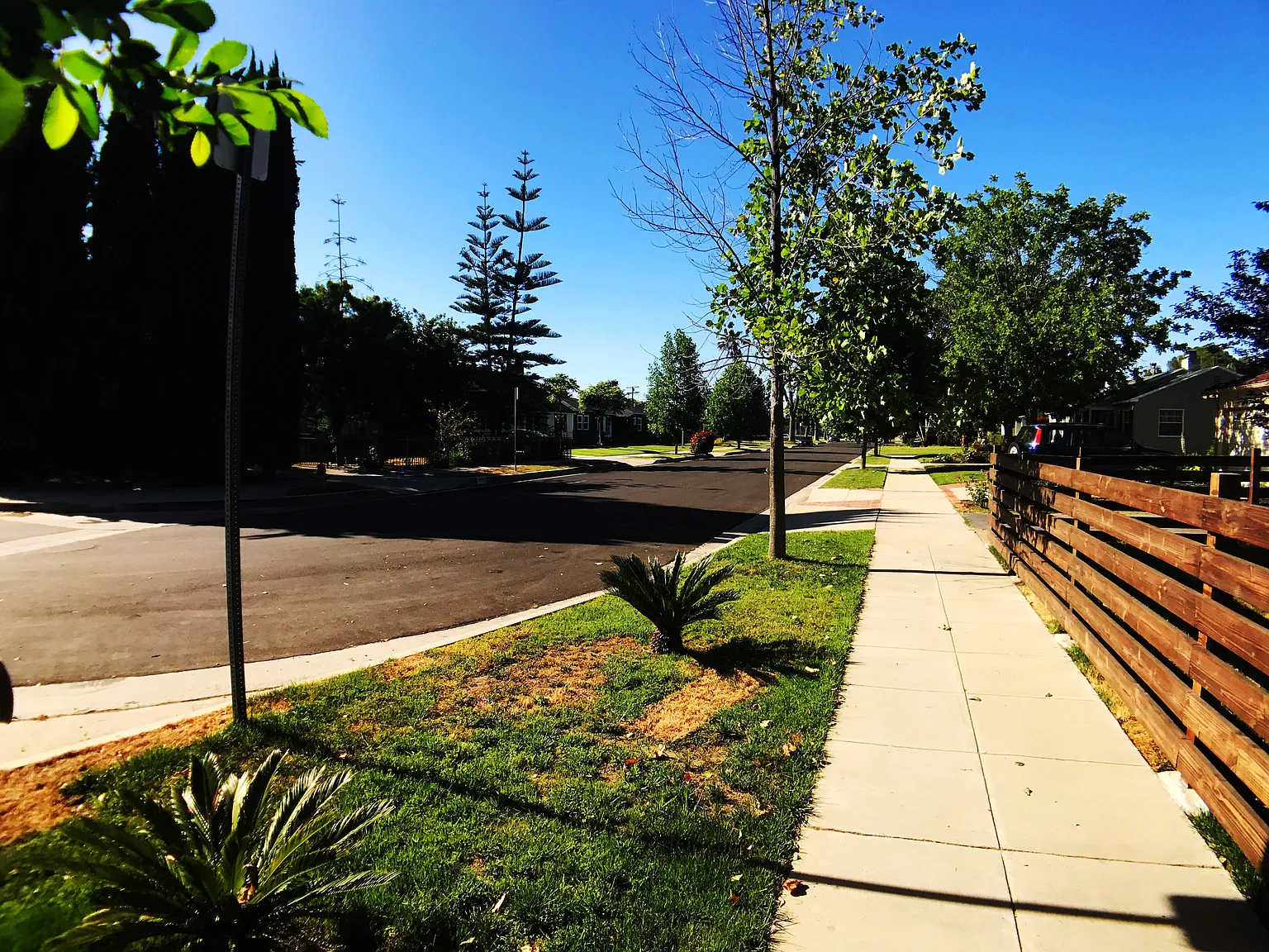1 bed, 550 sqft, $3,990 — Photo 4