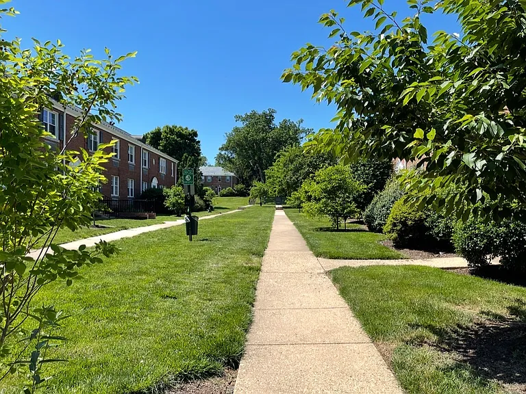 26 Auburn Ct — Photo 14
