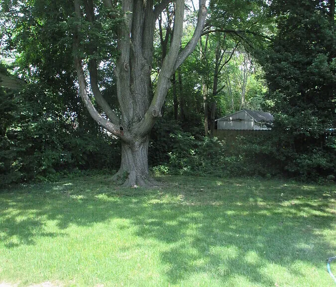 510 Dogwood Dr — Photo 27
