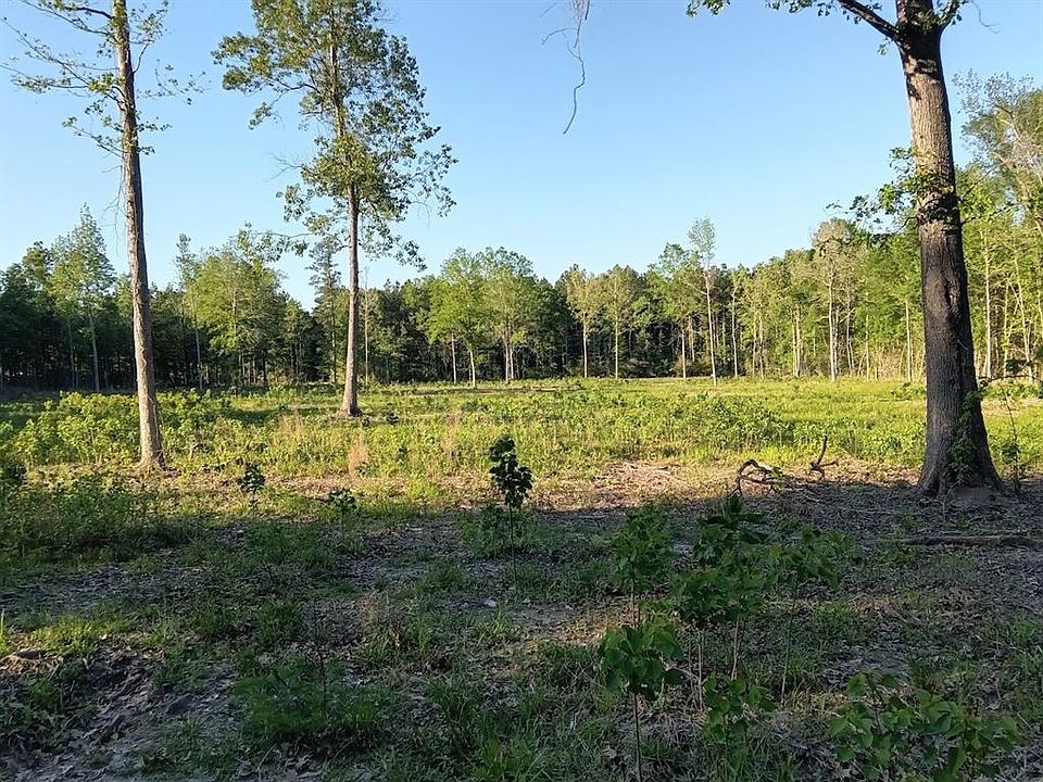 0 Lemon Fregia Dr, Batson, TX 77519 MLS 78557231 Zillow