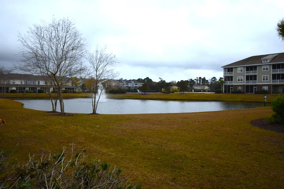 306 Kiskadee Loop - E — Photo 4