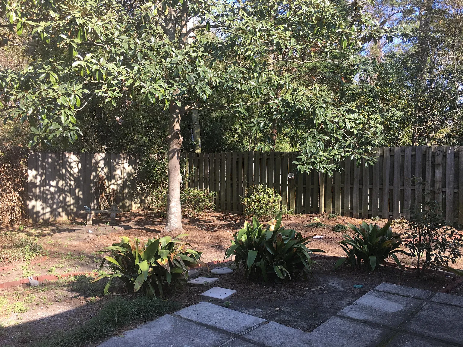2 bed, 2.0 bath, 1231 sqft, $3,200 — Photo 3