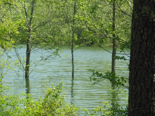 238 Fort Cannon Lane, Shell Knob, MO 65747