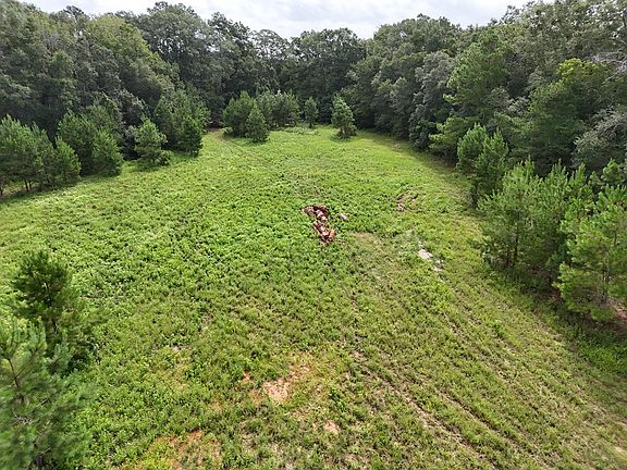 3rd image of Parramore Fish Pond Rd Parcel 28014