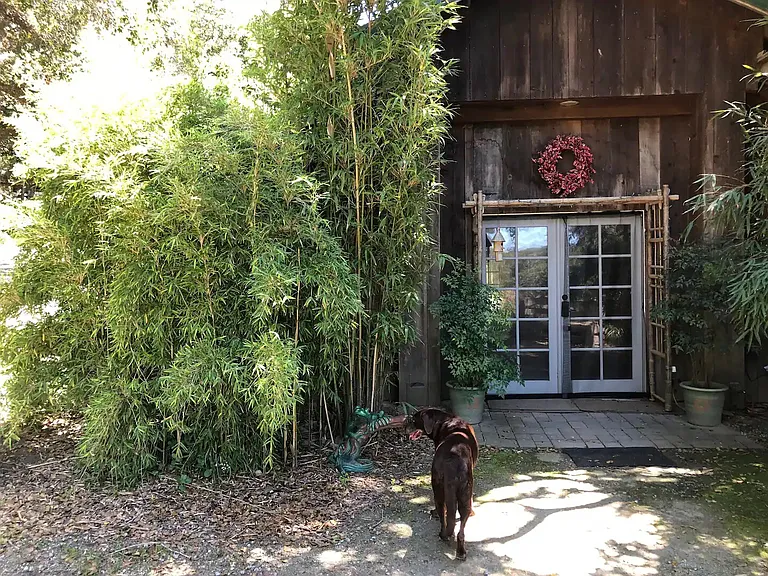 Hambey Ln — Photo 25